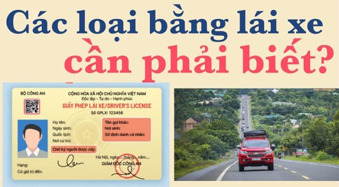 The Latest In-Person and Online Driver’s License Renewal Procedures