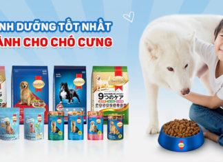 Is Smartheart Dog Food Any Good?