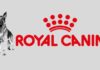 Is Royal Canin Dog Food Any Good?