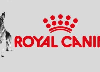 Is Royal Canin Dog Food Any Good?