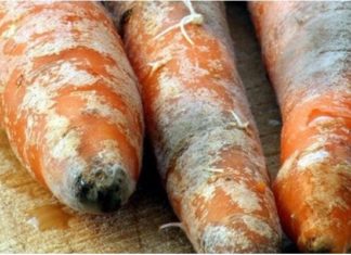 “Can You Eat Moldy Food? The Safe-to-Eat Guide”