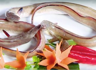 Taste the Famous Sea Herring and Papaya Salad of Thanh’s Beach