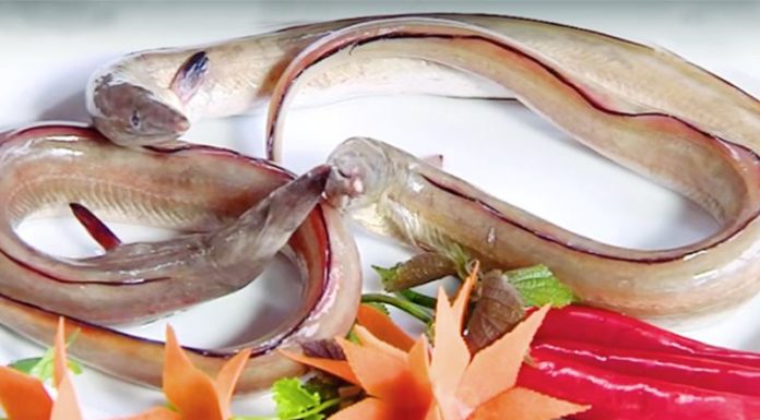 Taste the Famous Sea Herring and Papaya Salad of Thanh’s Beach