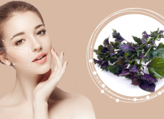 The Surprising Beauty Benefits of Perilla Leaves