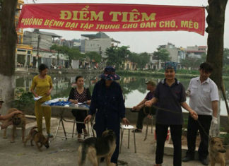 “How Long Does a Rabies Vaccination Last for Cats and Dogs? What Are the Key Considerations?”