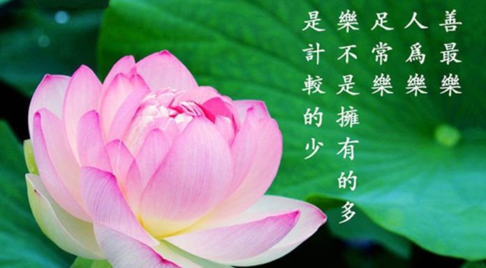 The Summer Solstice 2023: When and Why It Matters.