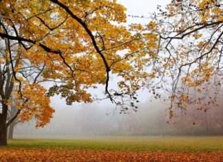The Magic of the Frost Descent Festival: Unveiling the Date and Significance of this Enchanting Tradition.