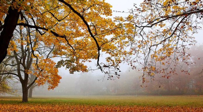 The Magic of the Frost Descent Festival: Unveiling the Date and Significance of this Enchanting Tradition.