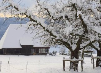 What Day Is Minor Cold 2022? Understanding the Meaning of Minor Cold