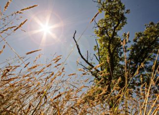 What Day is Minor Heat 2023? Understanding the Significance of Minor Heat