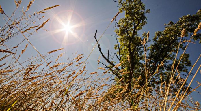 What Day is Minor Heat 2023? Understanding the Significance of Minor Heat