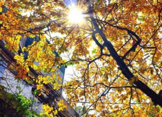 When is Li Ch’i Festival 2023? Understanding the Significance of Li Ch’i