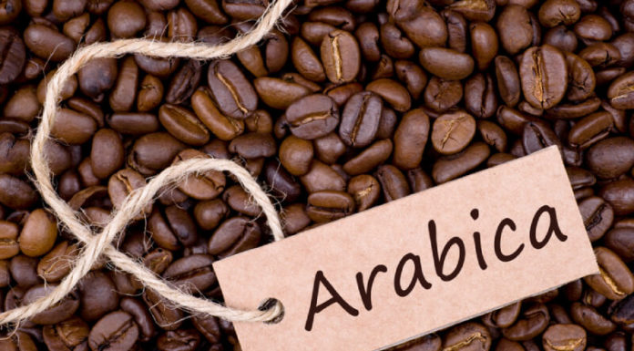 The Ultimate Guide to Vietnam’s 11 Most Loved Coffees