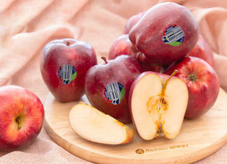 The Definitive Guide to the World’s Favorite Imported Apple Varieties