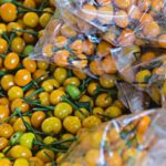 The World’s Most Expensive Spice is Grown in Abundance in Vietnam