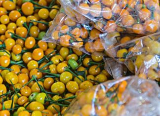 The World’s Most Expensive Spice is Grown in Abundance in Vietnam