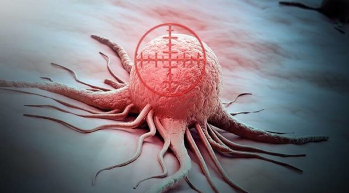 Discover the Power of Precision Medicine in Cancer Treatment