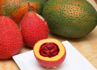 Uncover the Secrets of the Gac Fruit: A Guide to Its Origins, Significance and Easy Cultivation