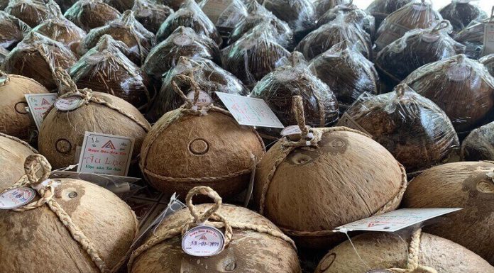 The Tropical Delight: Coconut Wine, Western Region’s Signature Libation