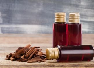 The Alluring Aromas of Wood: Exploring the Top 5 Woody Scents in Modern Perfumery