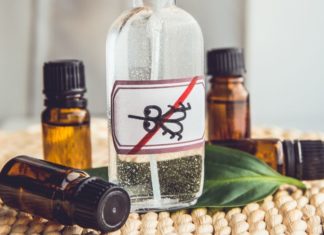 Is Mosquito Repellent Essential Oil Safe? 3 Types of Mosquito Repellent Essential Oils