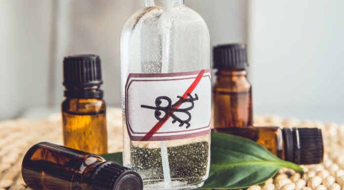 Is Mosquito Repellent Essential Oil Safe? 3 Types of Mosquito Repellent Essential Oils