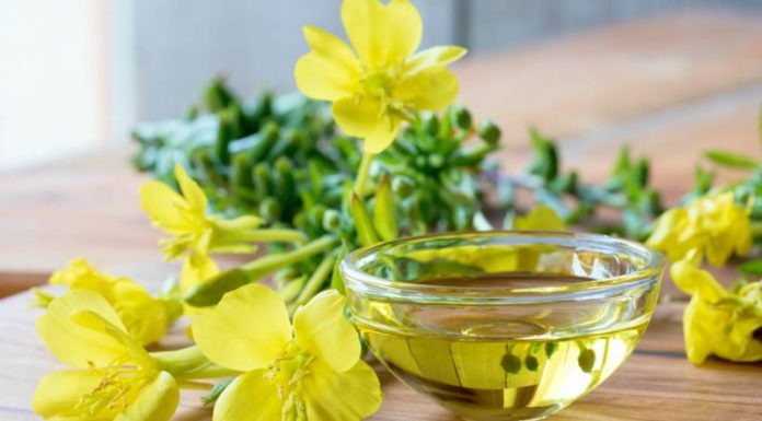 Can Evening Primrose Oil Be Applied to the Face? What Should You Keep in Mind?