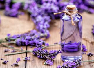 What is Lavender Essential Oil? Benefits and Uses of Lavender Essential Oil