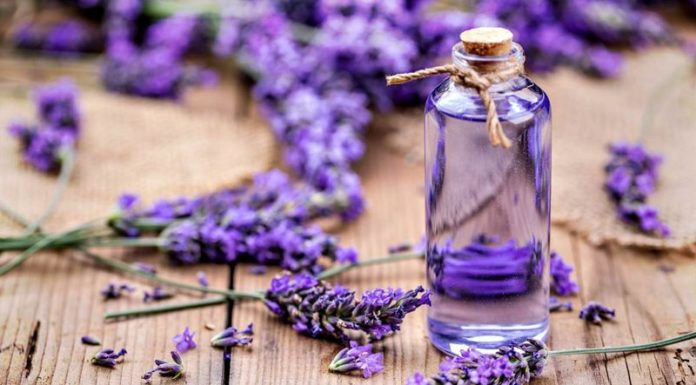 What is Lavender Essential Oil? Benefits and Uses of Lavender Essential Oil
