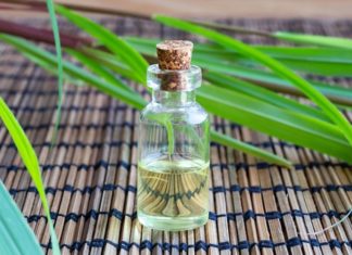 What is Palmarosa Essential Oil? Benefits of Palmarosa Essential Oil