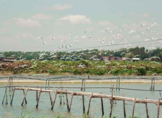 The Ultimate Guide to Discovering Phu Tan’s Hidden Gems: Unveiling An Giang’s Best-Kept Secrets