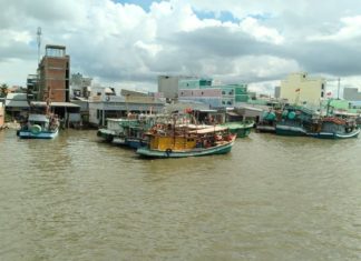 The Ultimate Travel Guide to Tran Van Thoi (Ca Mau): Unveiling the Hidden Gems