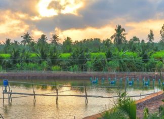 The Ultimate Guide to Cu Lao Dung (Soc Trang): A Tropical Paradise Unveiled