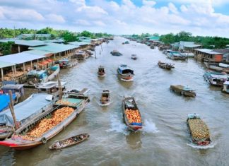 The Ultimate Travel Guide to Mỏ Cày Nam, Bến Tre: Unveiling a Hidden Gem