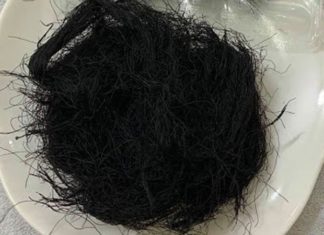 What is Toc Tien? Is Toc Tien Delicious?