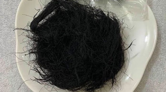 What is Toc Tien? Is Toc Tien Delicious?