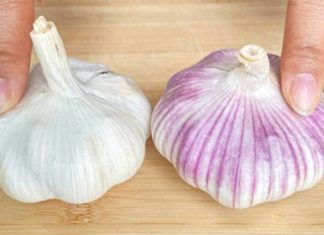 Should You Choose Purple or White Garlic for Your Next Purchase?