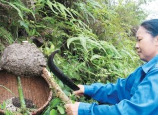 “The Ultimate Male Tonic: Caviar Season is Here, and It’s Worth Every Penny”