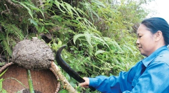 “The Ultimate Male Tonic: Caviar Season is Here, and It’s Worth Every Penny”