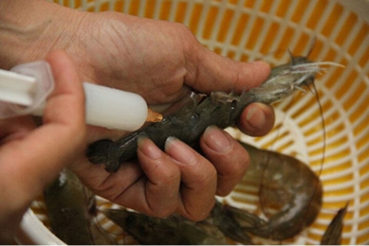 The Ultimate Guide to Buying Shrimp: How to Avoid the Cheap and Nasty and Choose Sustainable, Delicious Shrimp Every Time