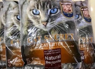 The Ultimate Guide to Affordable, Odor-Eliminating Cat Litter Sands