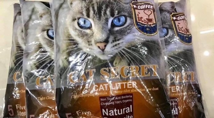 The Ultimate Guide to Affordable, Odor-Eliminating Cat Litter Sands