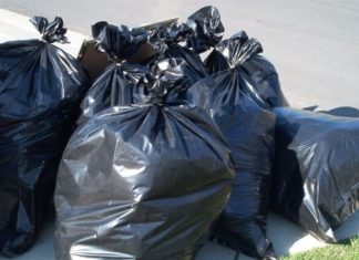 The Ultimate Guide: 7 Ways to Get Rid of Stray Cats and Their Unwanted Mess