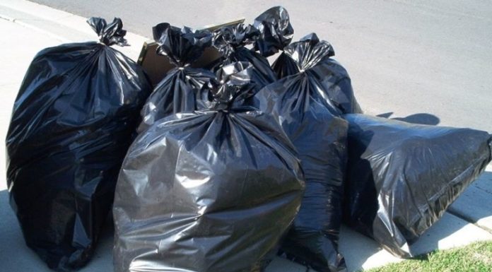 The Ultimate Guide: 7 Ways to Get Rid of Stray Cats and Their Unwanted Mess