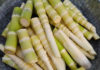 The Ultimate Guide to Edible Bambooshoot Varieties