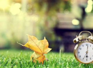 The Best Good Morning Poems: A Heartwarming and Humorous Collection for All