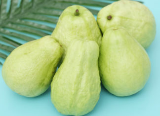 The Ultimate Guide to Varieties of Guava: Where to Buy and Price Guide