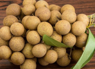 The Ultimate Guide to Preserving Fresh Grapes: Unveiling the Secrets to Longer-Lasting Fruit