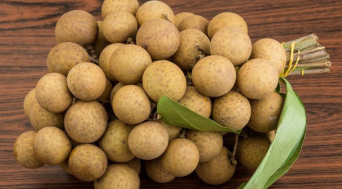 The Ultimate Guide to Preserving Fresh Grapes: Unveiling the Secrets to Longer-Lasting Fruit