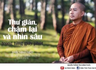 The Power of Words: Captivating Quotes from ‘Understanding the Heart’ by Master Minh Niem